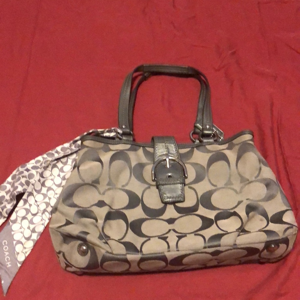 Gray Coach Bag
